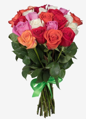 Vikerkaarevärvilised roosid Image