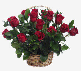 Punaste rooside bukett Image