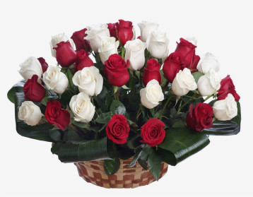 Punaste ja valgete rooside bukett
