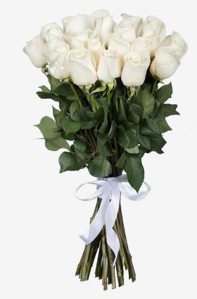 Белые розы Image