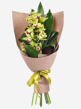 Šarmikas orhidee Image